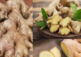 Jahe Indonesia Kolaborasi Otentikasi dengan Perancis