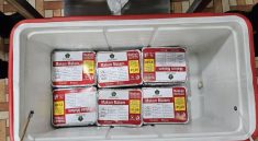 Keracunan Makanan Jemaah Haji Diimbau Makan Sesuai Jadwal