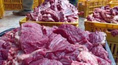 Daging Kurban Cara Menyimpan dengan Benar agar Tetap Bergizi