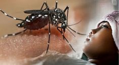 Vaksinasi Dengue Dimulai di Kutai Kartanegara Lindungi Anak