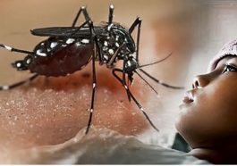 Vaksinasi Dengue Dimulai di Kutai Kartanegara Lindungi Anak