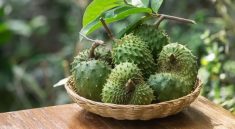 Daun Sirsak Solusi Menurunkan Kolesterol dan Menjaga Jantung
